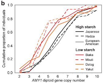 Amy1 copy numbers race NG2007-02.png