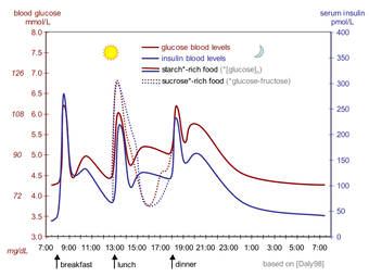 Suckale08_fig3_glucose_insulin_day.png